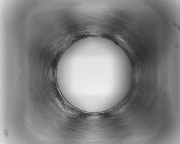 X0000100210213200805300733