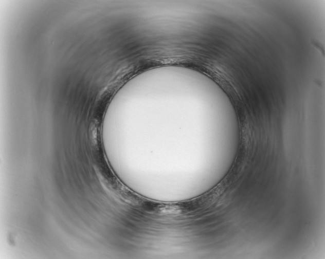X0000100210214200805300733