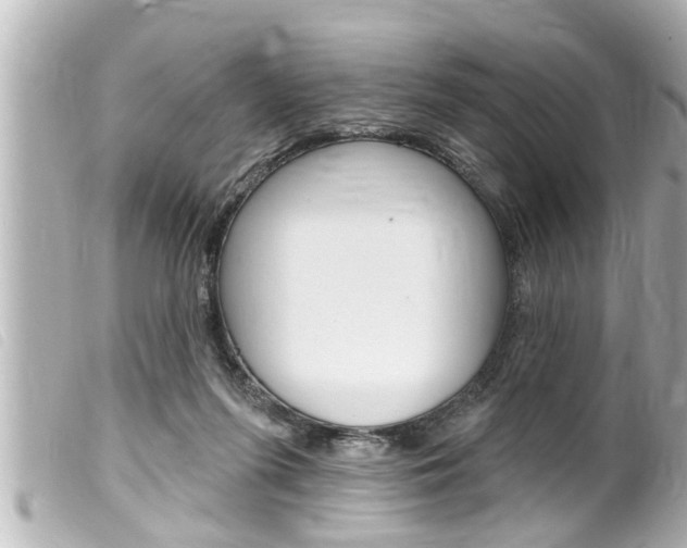 X0000100210215200805300733