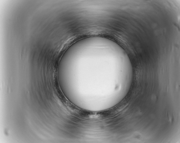 X0000100210216200805300733