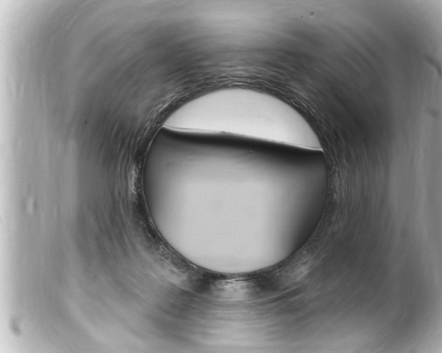 X0000100210219200805300733