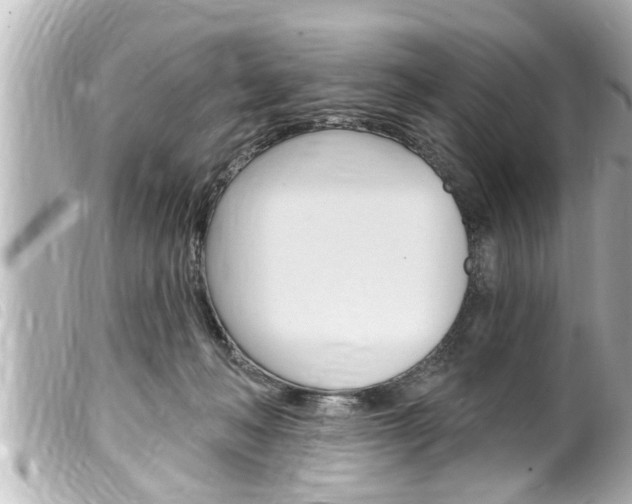 X0000100210222200805300733