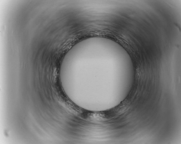 X0000100210223200805300733