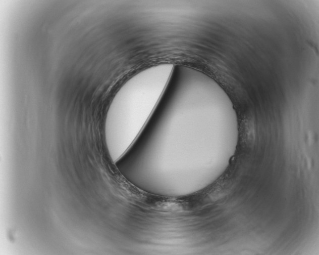 X0000100210224200805300733