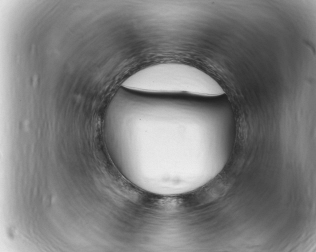 X0000100210225200805300733