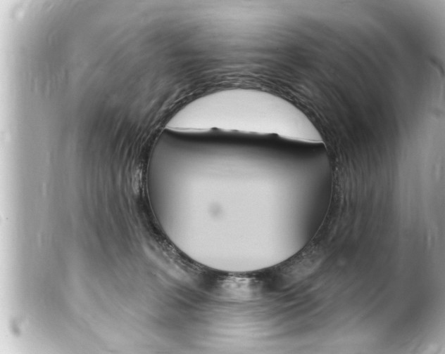 X0000100210227200805300733