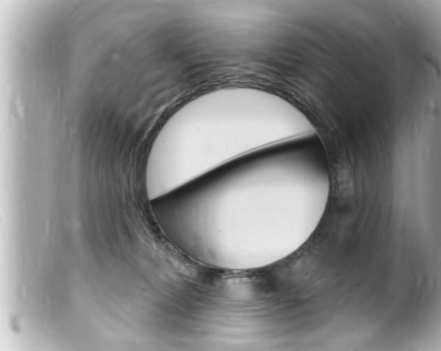 X0000100210228200805300733