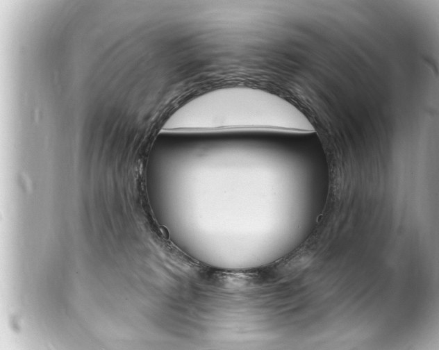 X0000100210229200805300733