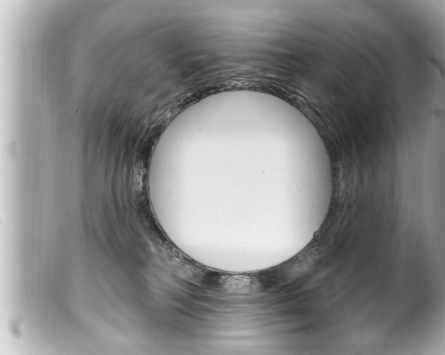 X0000100210230200805300733