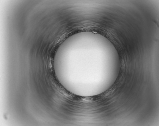 X0000100210232200805300733