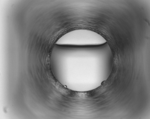 X0000100210233200805300733