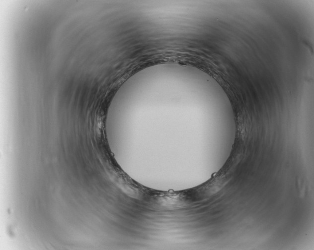 X0000100210235200805300733