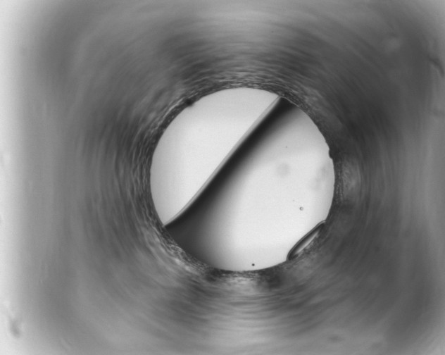 X0000100210236200805300733