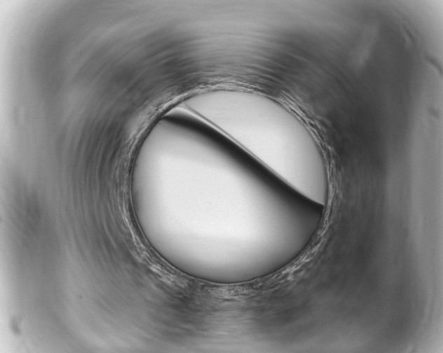 X0000100210241200805300732
