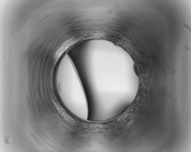 X0000100210242200805300732
