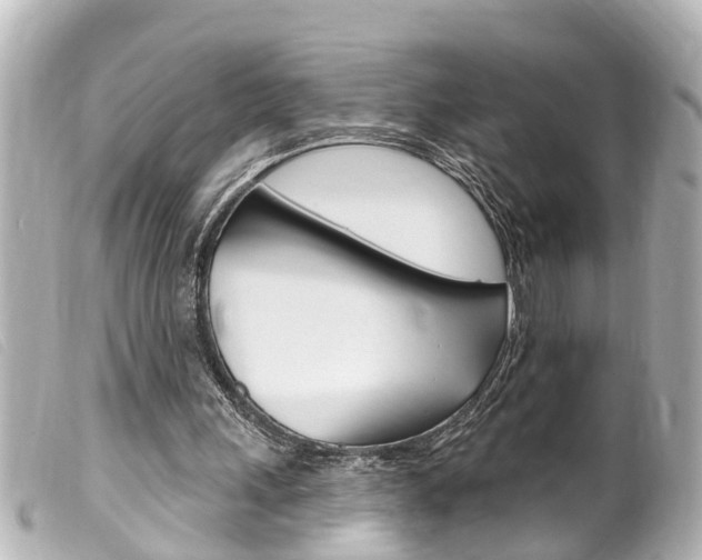 X0000100210243200805300732