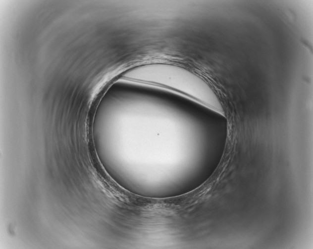 X0000100210244200805300732