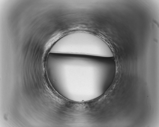 X0000100210245200805300732