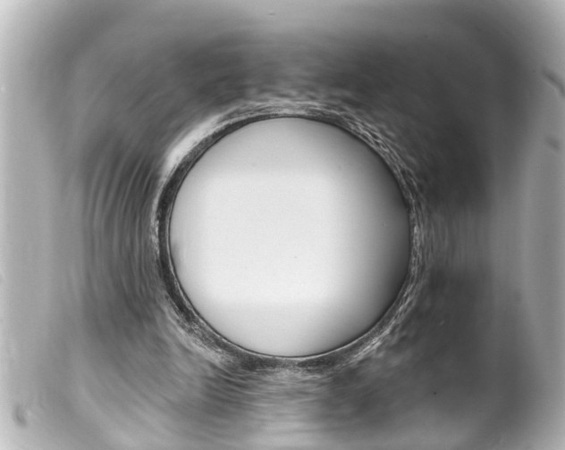 X0000100210246200805300732