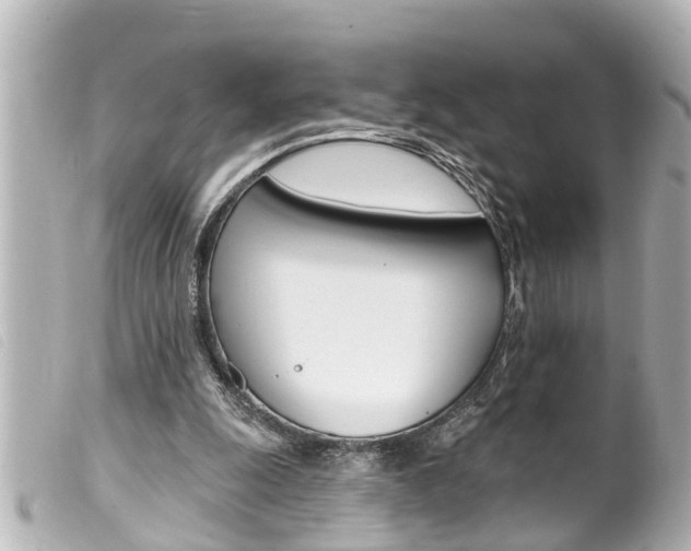 X0000100210247200805300732
