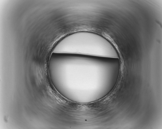 X0000100210249200805300732