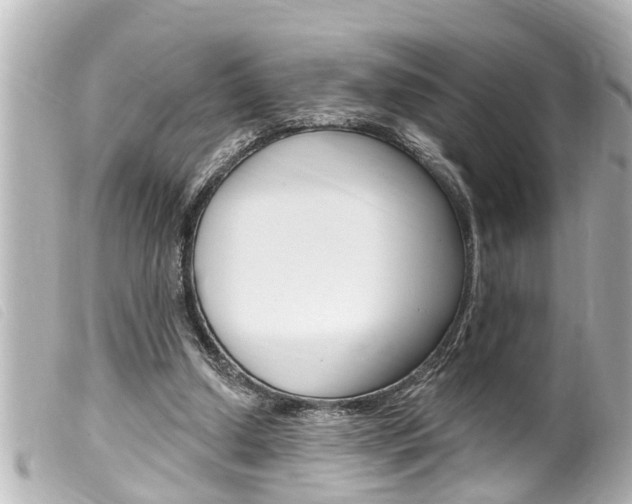 X0000100210250200805300732