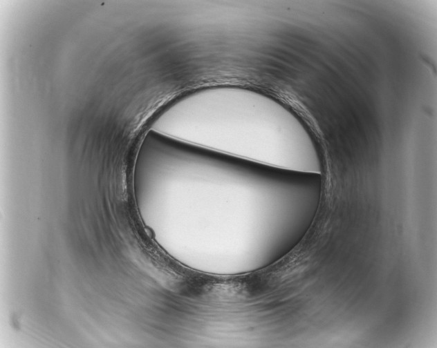 X0000100210251200805300732