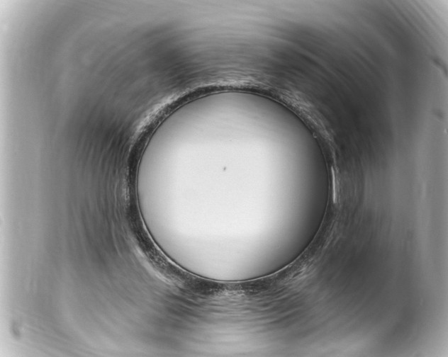 X0000100210252200805300732