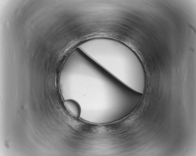 X0000100210253200805300732