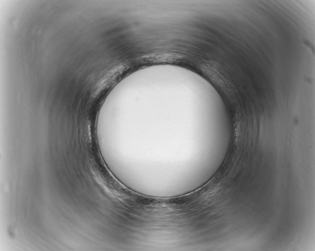 X0000100210254200805300732