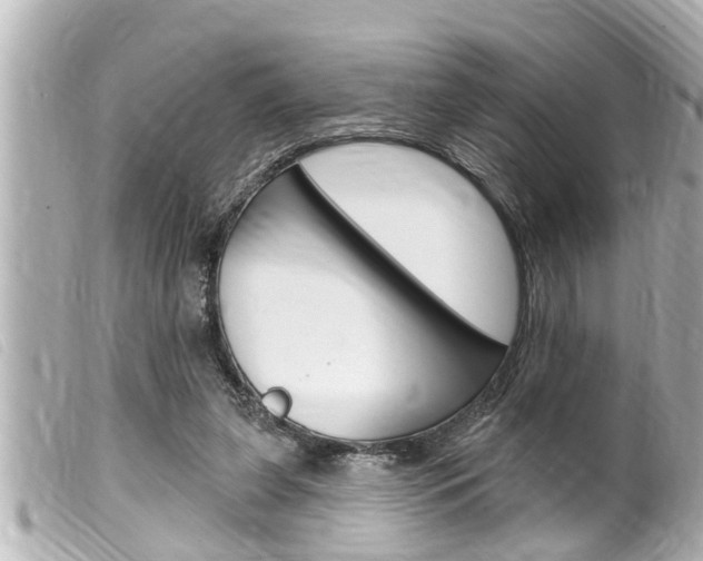 X0000100210255200805300732