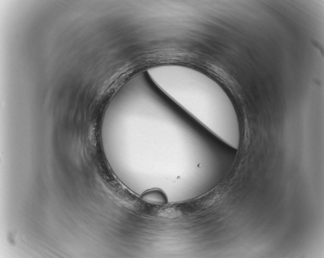 X0000100210258200805300732