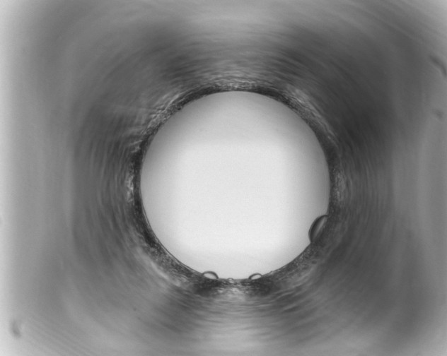 X0000100210259200805300732