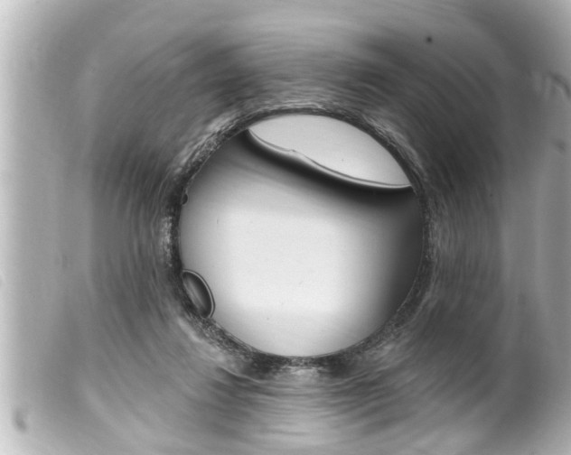 X0000100210260200805300732