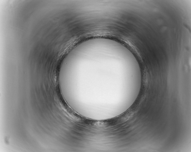 X0000100210261200805300732