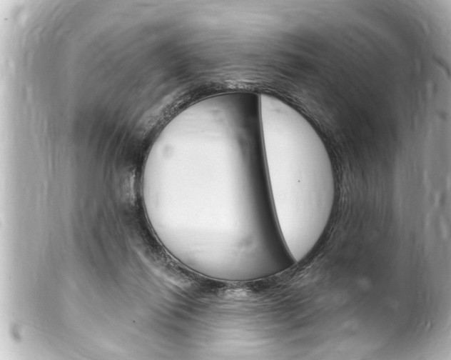 X0000100210262200805300732