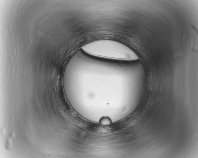 X0000100210263200805300732