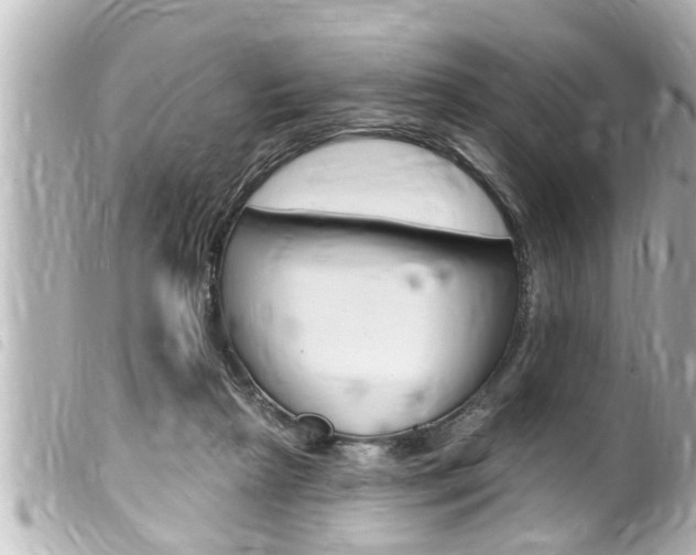 X0000100210265200805300732