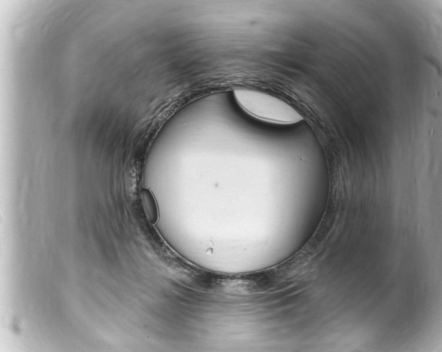 X0000100210268200805300732