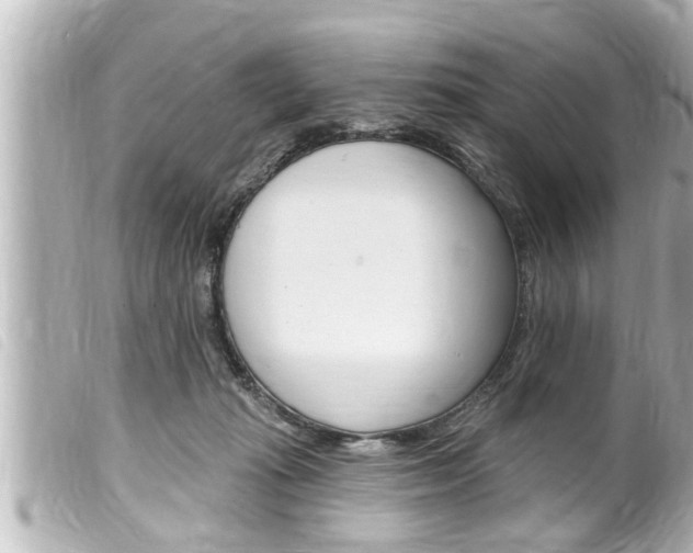 X0000100210269200805300732