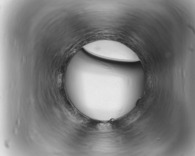 X0000100210271200805300732