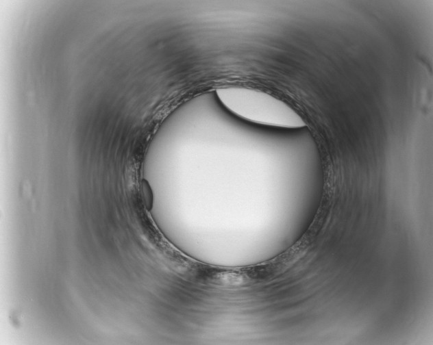 X0000100210272200805300732