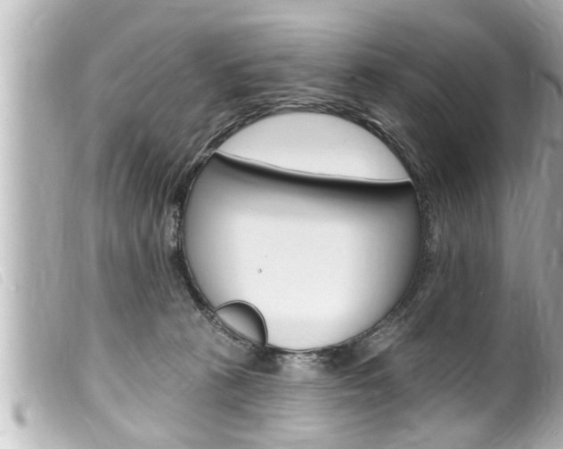 X0000100210273200805300732