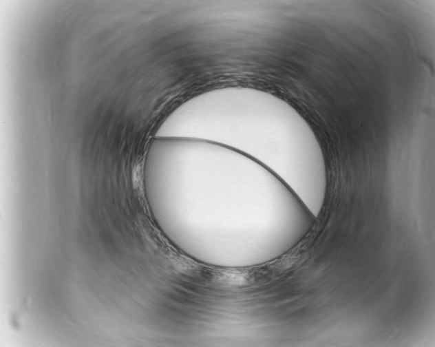X0000100210276200805300732