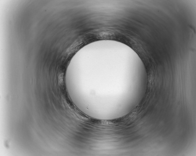 X0000100210278200805300732