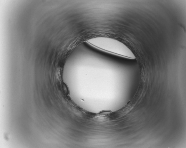 X0000100210280200805300732