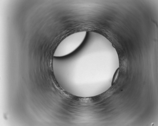X0000100210281200805300732