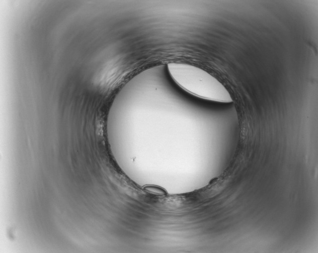 X0000100210282200805300732
