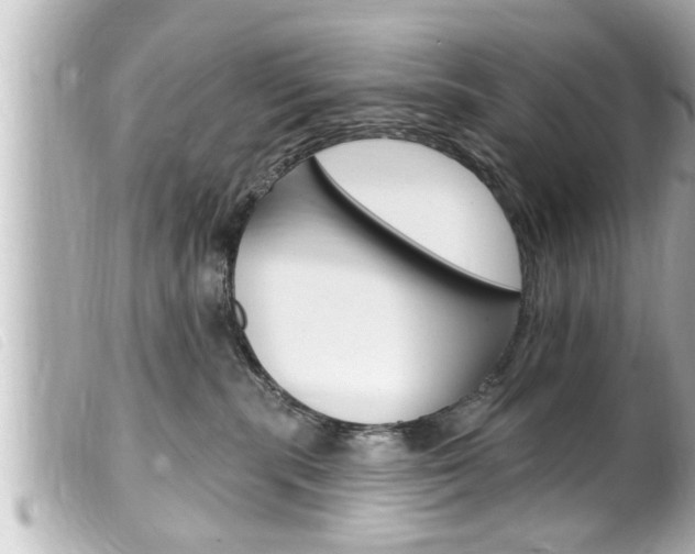 X0000100210283200805300732