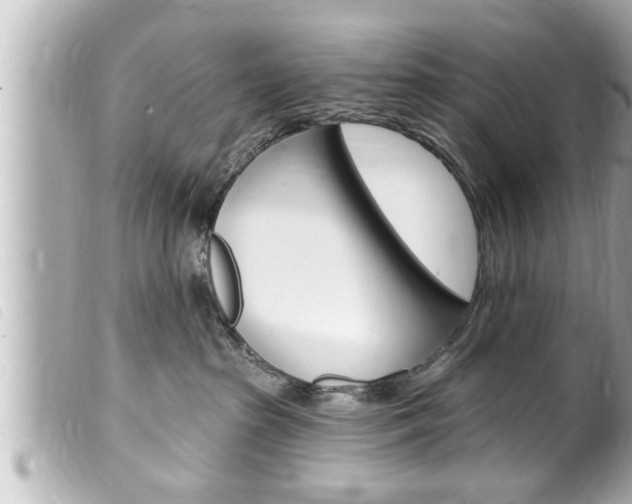 X0000100210285200805300733